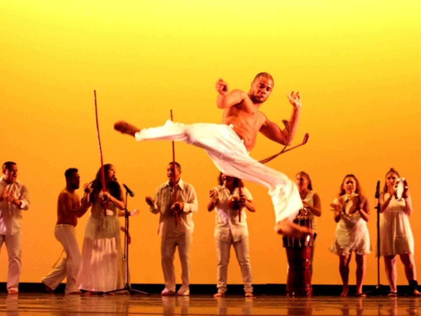 capoeira-performance-marincounty-fair